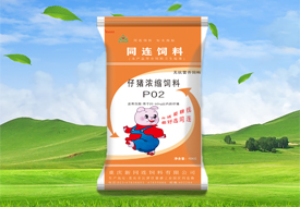 P02仔豬濃縮飼料